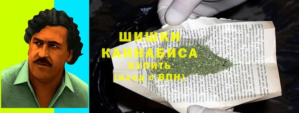 молекула духа Бородино