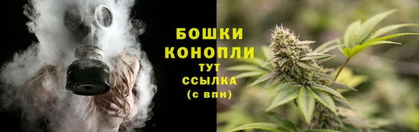стаф Верхний Тагил