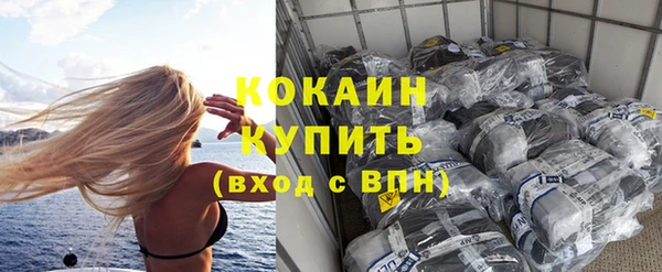 молекула духа Бородино