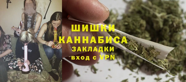 стаф Верхний Тагил