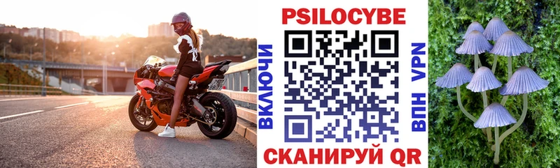 Псилоцибиновые грибы Psilocybine cubensis  Купить где  Новоульяновск 